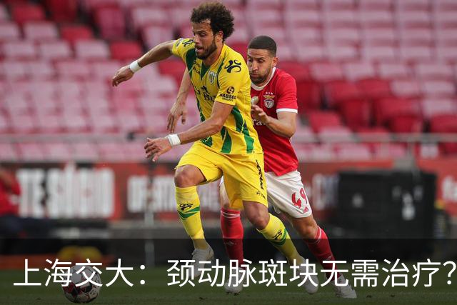 上海交大：颈动脉斑块无需治疗？真相可能让你大吃一惊