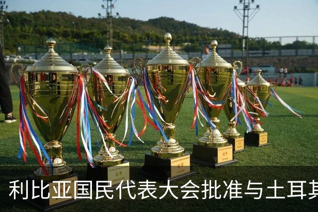 利比亚国民代表大会批准与土耳其海域划界协议，欧盟和希腊表达反对