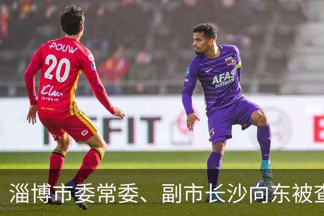淄博市委常委、副市长沙向东被查：临近退休，半生城建路戛然而止