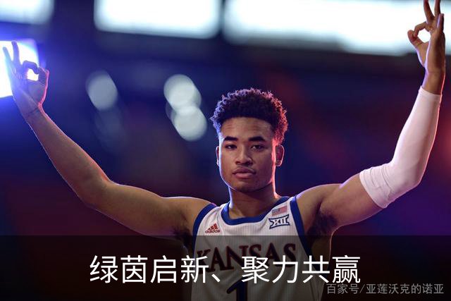 绿茵启新、聚力共赢