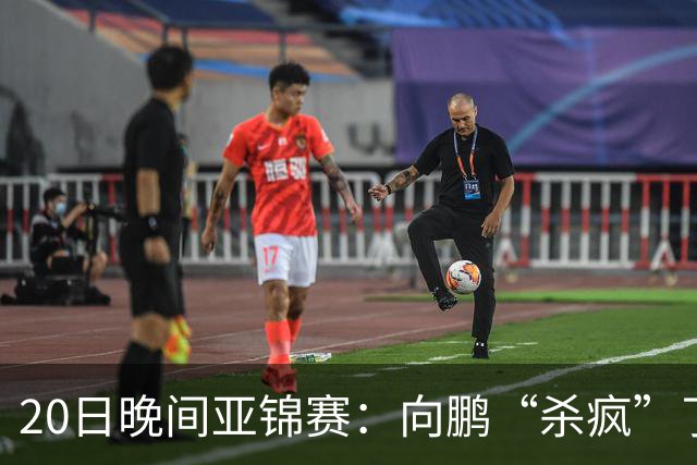 20日晚间亚锦赛：向鹏“杀疯”了，李天阳造惨案，国乒剑指冠军！